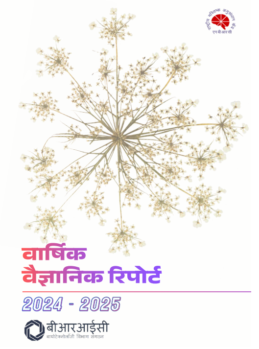 वार्षिक रिपोर्ट