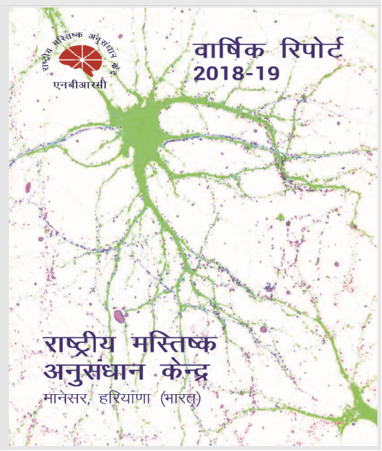 वार्षिक रिपोर्ट