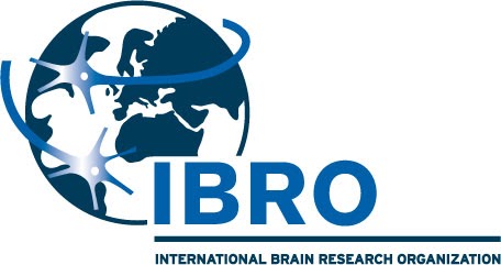IBRO